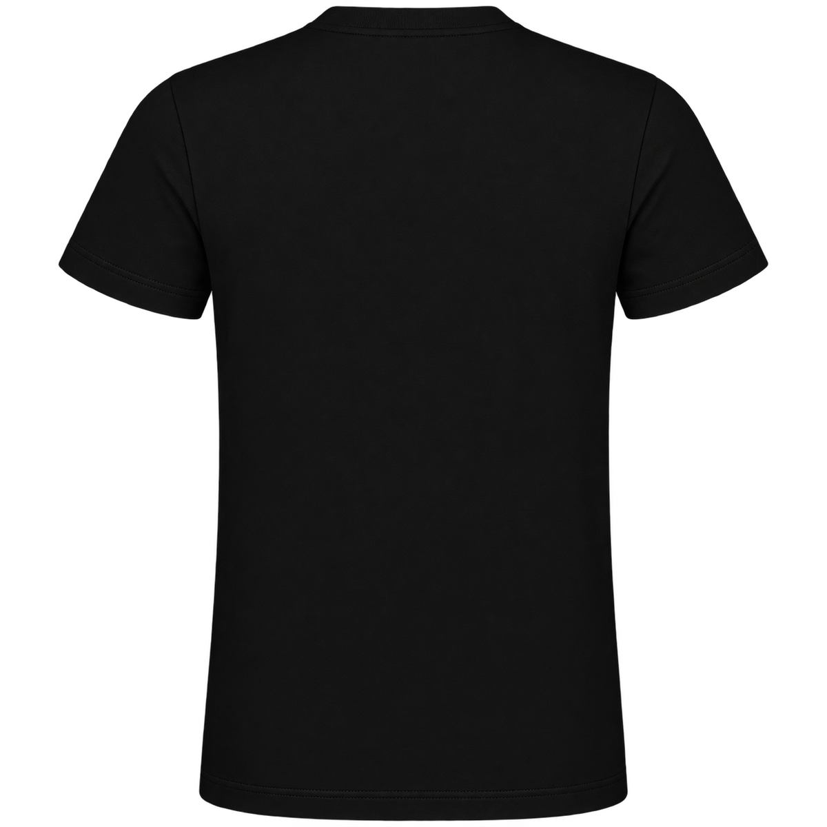 Polera de algodón hombre (stgo)